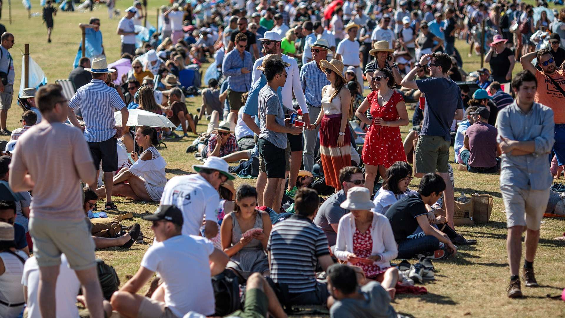 的乌龙球 的乌龙球