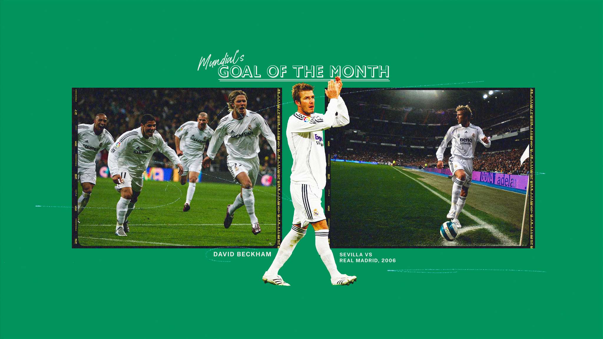 他的存在能 他的存在能