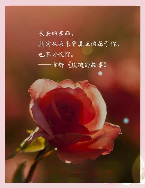 虽败犹荣 玫瑰重拾铿锵气质崛起指日可待!